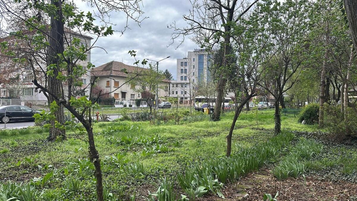 Apartament Mainstreet Freeparking